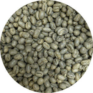 Costa Rica Santa Maria De Dota Peaberry AA Ep