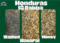 Dominican-Honey,-Natural,-Washed