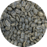 Honduran Org. 18 Rabbit Microlot - Washed