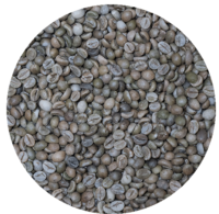 India Cherry Robusta A