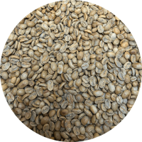 El-Salvador-Chalante-Microlot-