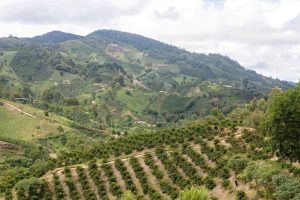 monteblanco landscape