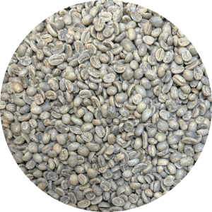 Guatemalan Huehuetenango SHB EP BCT Select