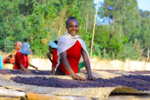 hartume coffee worker