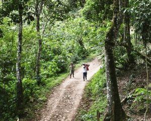 Jinotega coffee transport