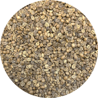 China Premium Yunnan - Torch Coffee - Black Sheep - Catimor Double Anaerobic Natural Processed