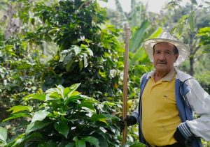 arboleda farmer - marco antonio