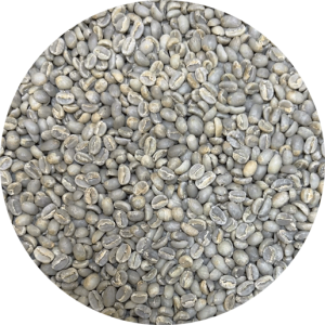 Ethiopian-Yirgacheffe-Konga-Gr.-1-Washed