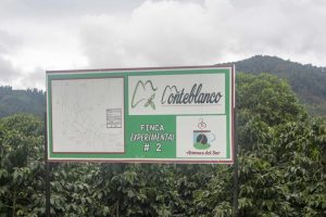 monteblanco sign