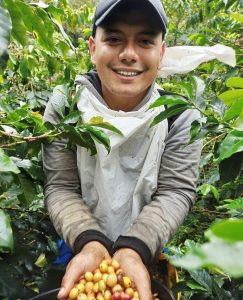 terra verde farmer with cherries