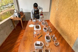 junin coffee tasting