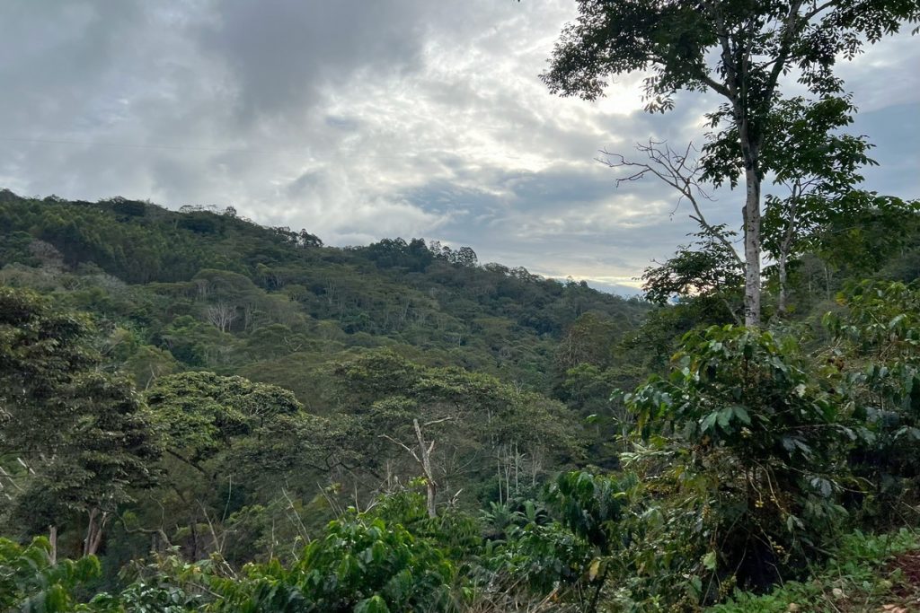 peru landscape