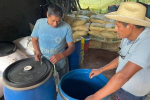 peru farmer and fermentation barrels