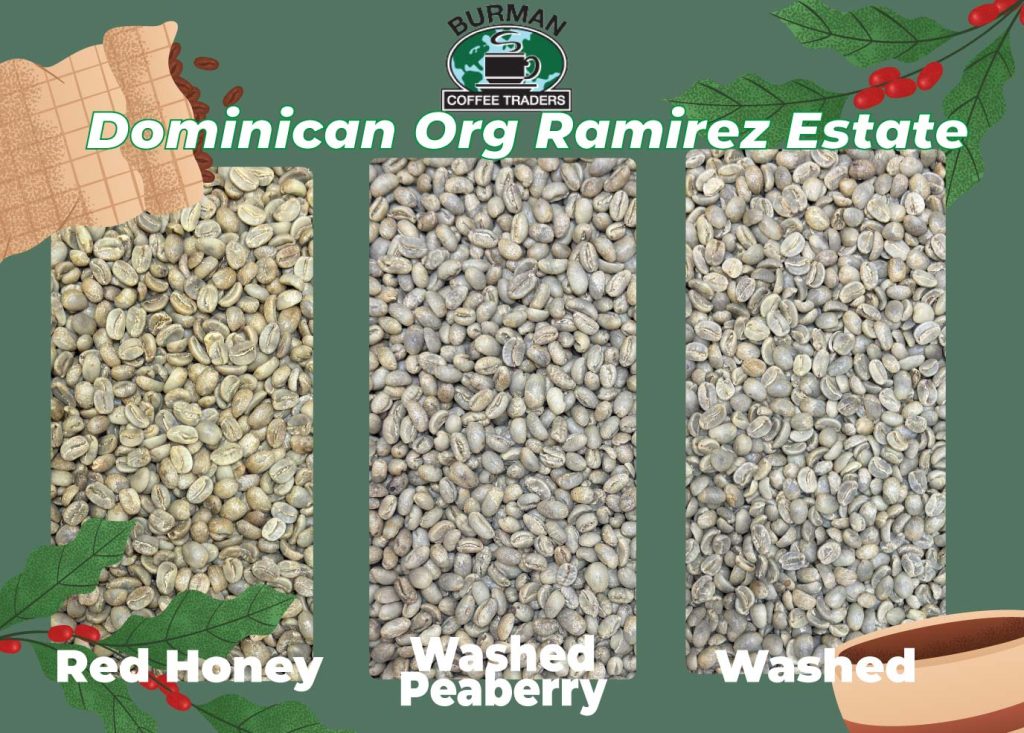 Dominican Ramirez Estate: 3 Pound Bundle