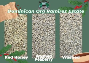 Dominican Ramirez Estate: 3 Pound Bundle