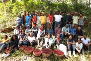 kayon coffee workers