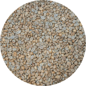 Colombian Premium Huila Pacamara Natural