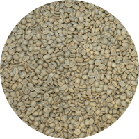 Costa Rican SHB EP Dota Tarrazu - Santa Maria - Washed Processed