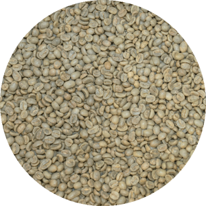 Costa Rican SHB EP Dota Tarrazu - Santa Maria - Washed Processed
