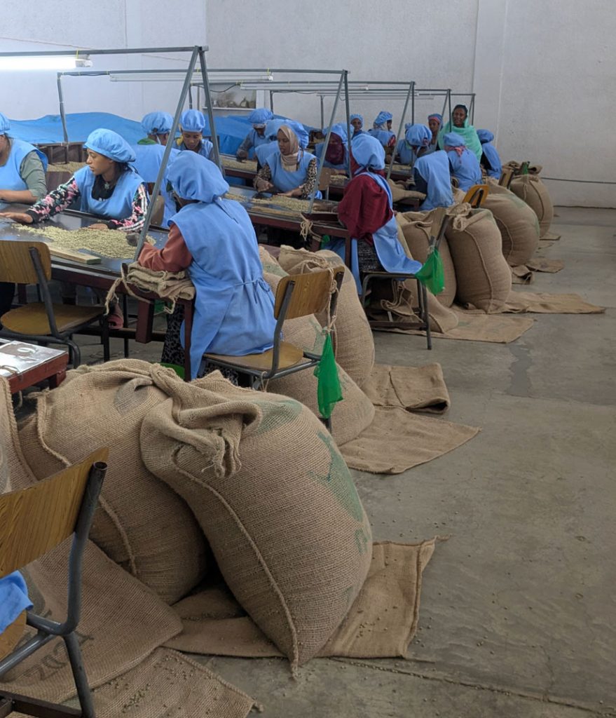 Ethiopian Yirgacheffe Natural Org. Gr. 3 - Aramo