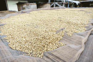 Decaffeinated Colombian Huila Decaf de Caña EA