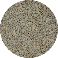 Guatemalan Huehuetenango SHB EP Mam