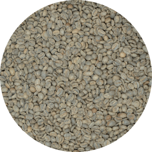 Guatemalan Huehuetenango SHB EP Mam
