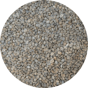 Indonesian Sulawesi Toraja Sapan Minanga