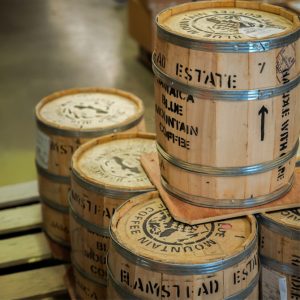 Jamaican Blue Mountain Gr. 1- Flamstead Estate - Flat Bean