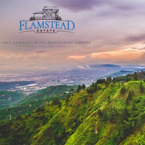 Jamaican Blue Mountain Gr. 1- Flamstead Estate - Flat Bean