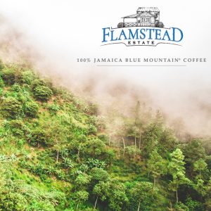 Jamaican Blue Mountain Gr. 1- Flamstead Estate - Flat Bean