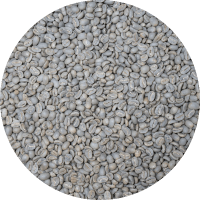 Indonesian Premium Sumatra - Asman Gayo Mill - Washed Processed