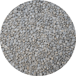 Indonesian Premium Sumatra - Asman Gayo Mill - Washed Processed