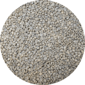 Burundi Kayanza - Businde Washed Processed