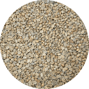 Costa Rican - Las Lajas Micromill - Finca Chilamate "Alma Negra" Natural