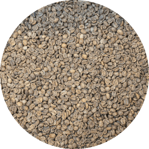 Decaffeinated Mexican Royal Select MWP