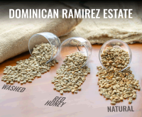 Dominican Ramirez Estate 3lb bundle