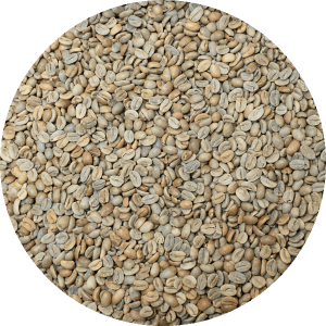 Dominican Ramirez Estate - Natural Processed