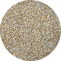 Ethiopia Yirgacheffe Gr. 1 Supernatural