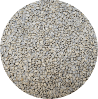 Ethiopian Yirgacheffe Banko Chelchele - Washed Gr. 2