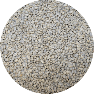 Ethiopian Yirgacheffe Banko Chelchele - Washed Gr. 2