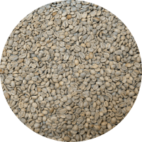 Guatemalan Huehuetenango FT Org. El Guaya’b 83+