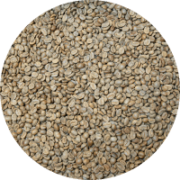 Honduran Org. 18 Rabbit Microlot - Black Honey