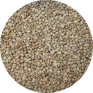Honduran Org. 18 Rabbit Microlot - Black Honey