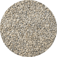 Honduran Org. 18 Rabbit Microlot - Washed Processed