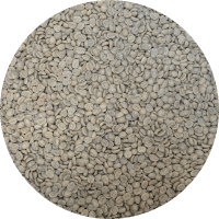 Kenya Kirinyaga Rungeto Kii AA - Top Lot