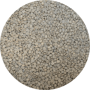 Kenya Kirinyaga Rungeto Kii AA - Top Lot