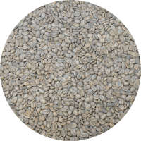Laos Naga - Gesha Washed Processed