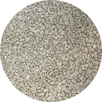 Laos Naga - Typica Washed Processed