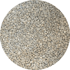 Laos Naga - Typica Washed Processed